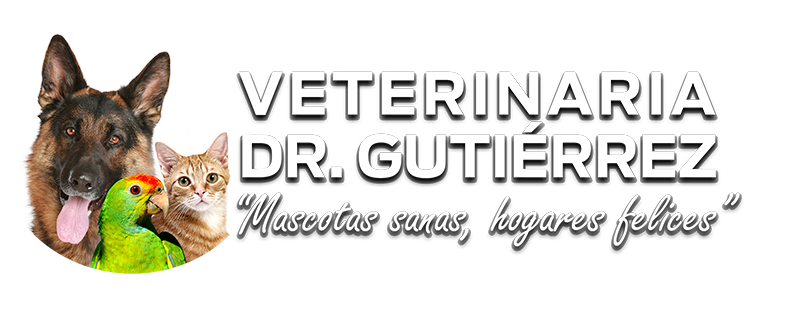 Veterinaria Dr Gutierrez